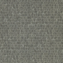 312648 Guinea Kempshott Wallpaper by Zoffany