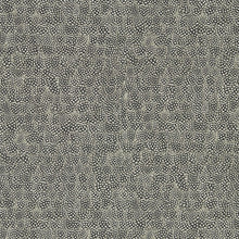 312650 Guinea Kempshott Wallpaper by Zoffany