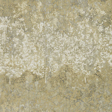 312654 Belvoir Kempshott Wallpaper by Zoffany