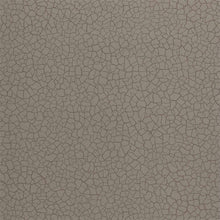 312834 Cracked Earth Oblique Wallpaper by Zoffany