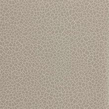 312835 Cracked Earth Oblique Wallpaper by Zoffany