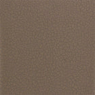 312836 Cracked Earth Oblique Wallpaper by Zoffany