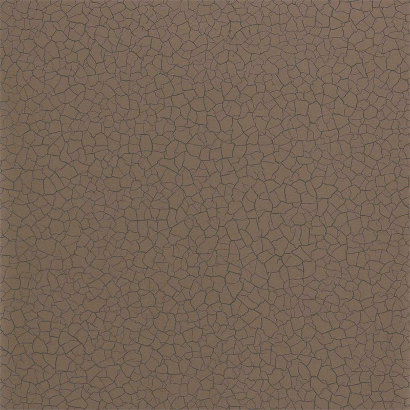 312836 Cracked Earth Oblique Wallpaper by Zoffany