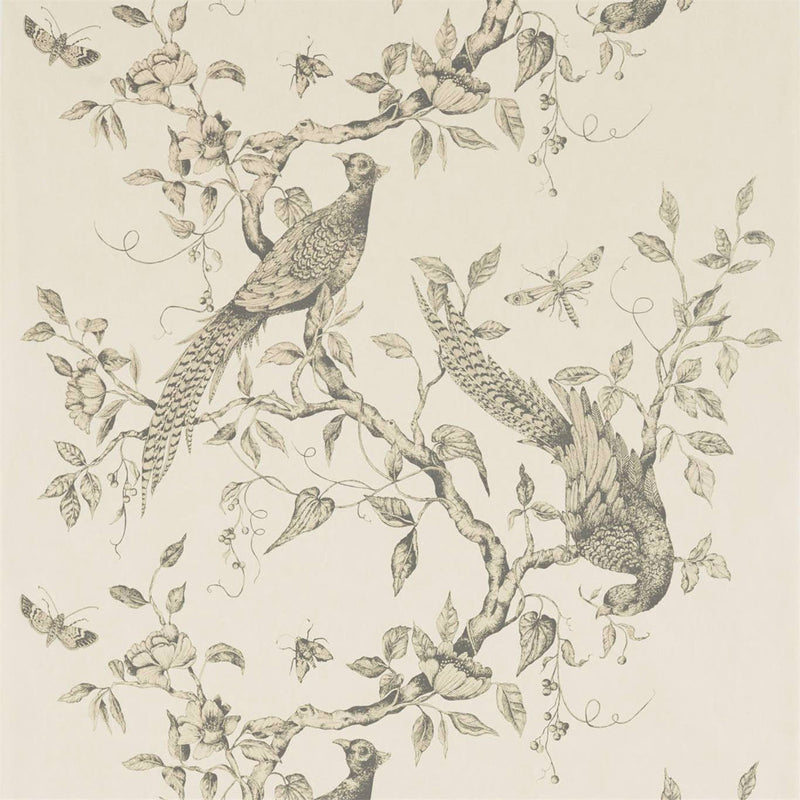 312848 Darnley Darnley Wallpaper by Zoffany
