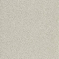 Wallis Darnley Wallpaper by Zoffany