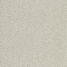 312869 Wallis Darnley Wallpaper by Zoffany