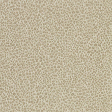 312870 Wallis Darnley Wallpaper by Zoffany
