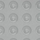 312976 Medallion Palladio Wallpaper by Zoffany