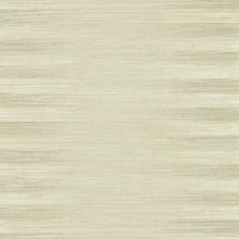 ZHIW313003 Kensington Grasscloth Kensington Walk Wallpaper by Zoffany