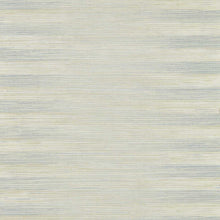 ZHIW313004 Kensington Grasscloth Kensington Walk Wallpaper by Zoffany