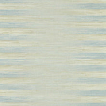 ZHIW313005 Kensington Grasscloth Kensington Walk Wallpaper by Zoffany