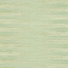 ZHIW313008 Kensington Grasscloth Kensington Walk Wallpaper by Zoffany