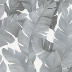 31624 Palm Leaf The New Design Book Black and Silver Wallpaper By Galerie