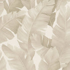 31625 Palm Leaf The New Design Book Beige Wallpaper By Galerie