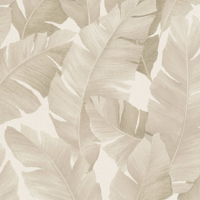 31625 Palm Leaf The New Design Book Beige Wallpaper By Galerie