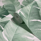 Palm Leaf The New Design Book White and Green Wallpaper By Galerie