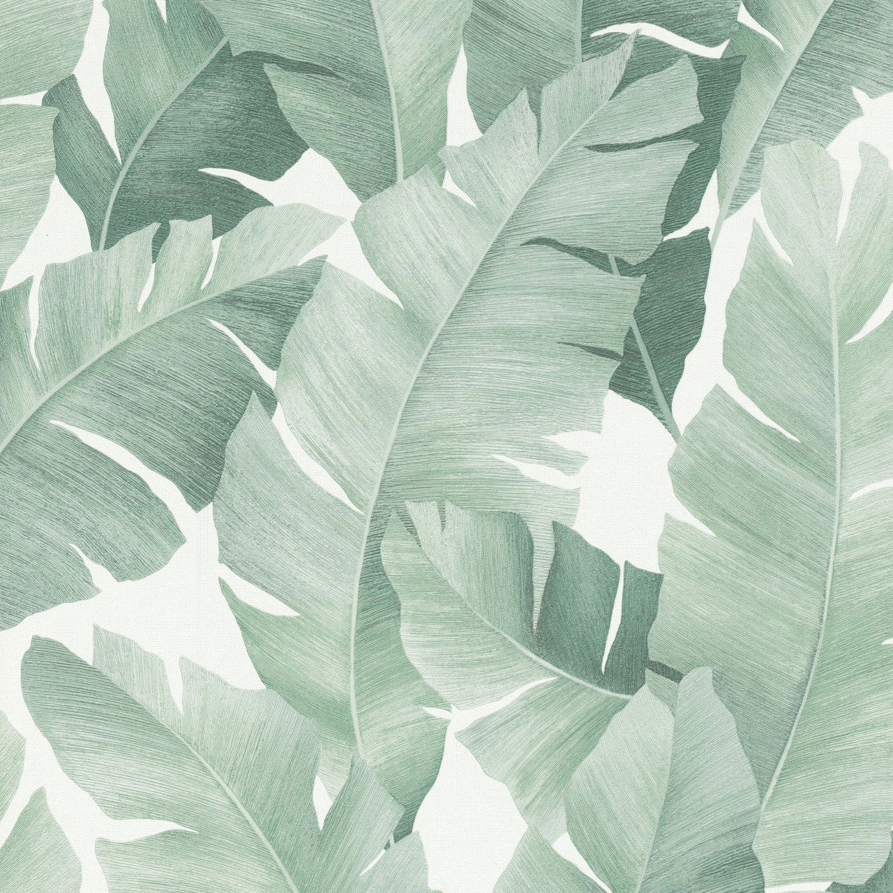 31650 Palm Leaf The New Design Book White and Green Wallpaper By Galerie