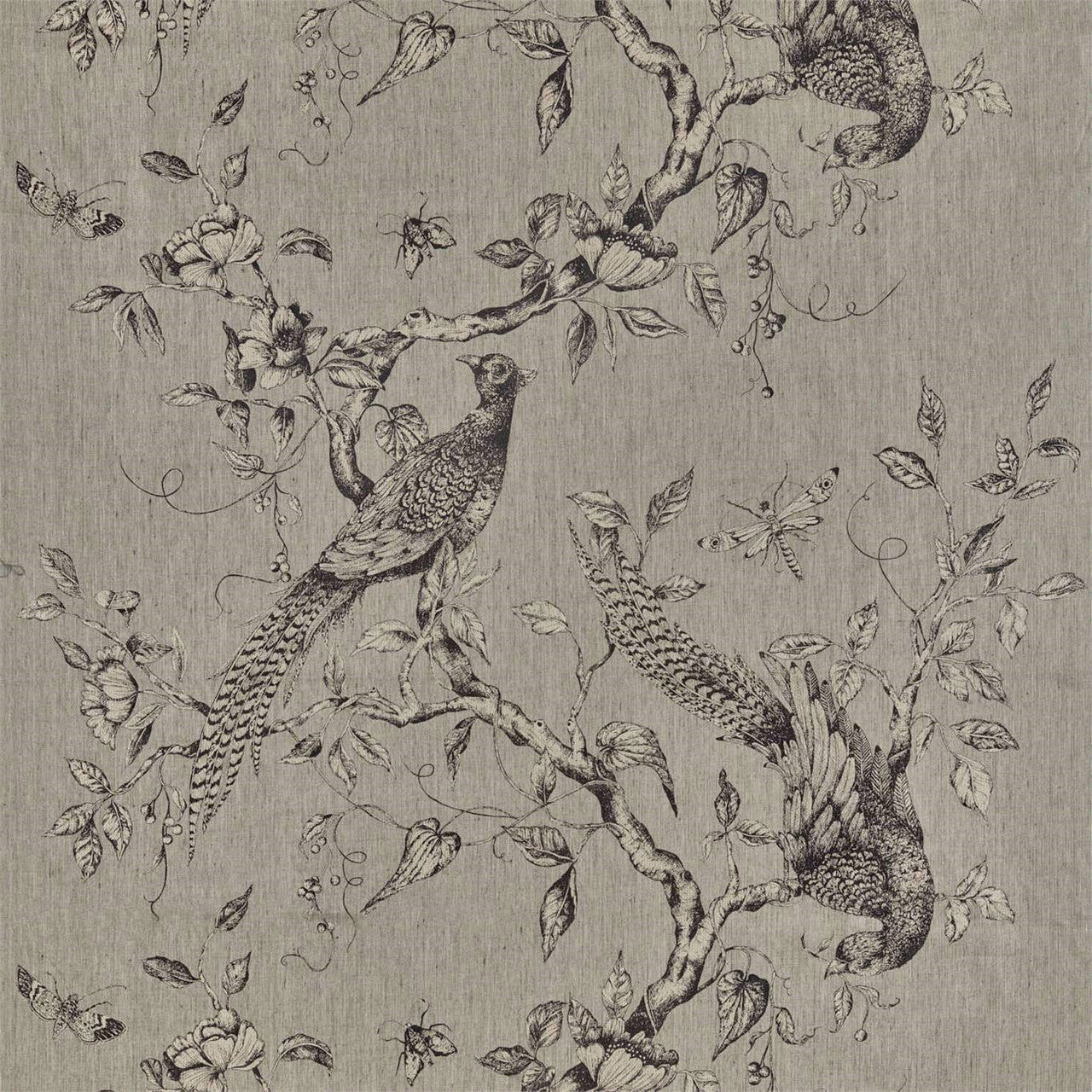 322656 Darnley Toile Darnley Empire Grey Fabric by Zoffany