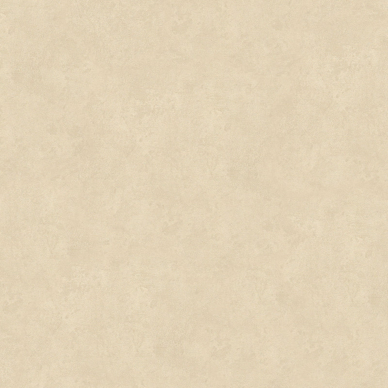 32272 Concrete Avalon Wallpaper by Galerie