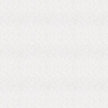 32436 Plain Texture Flora White and Grey Wallpaper By Galerie