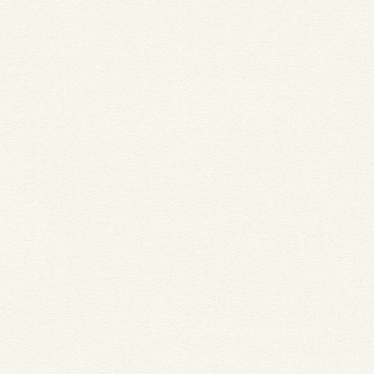 32470-1 Styleguide Colours 2024 Wallpaper by A S Creation