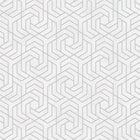 32607 Hex Geometric The New Design Book Silver and White Wallpaper By Galerie