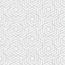 32607 Hex Geometric The New Design Book Silver and White Wallpaper By Galerie