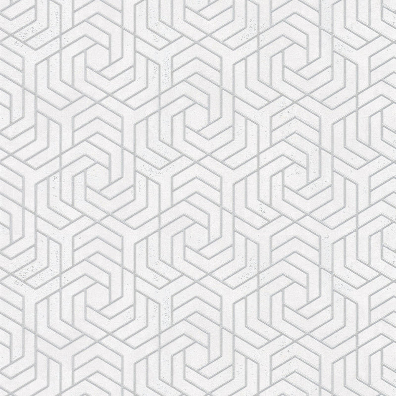 32607 Hex Geometric The New Design Book Silver and White Wallpaper By Galerie