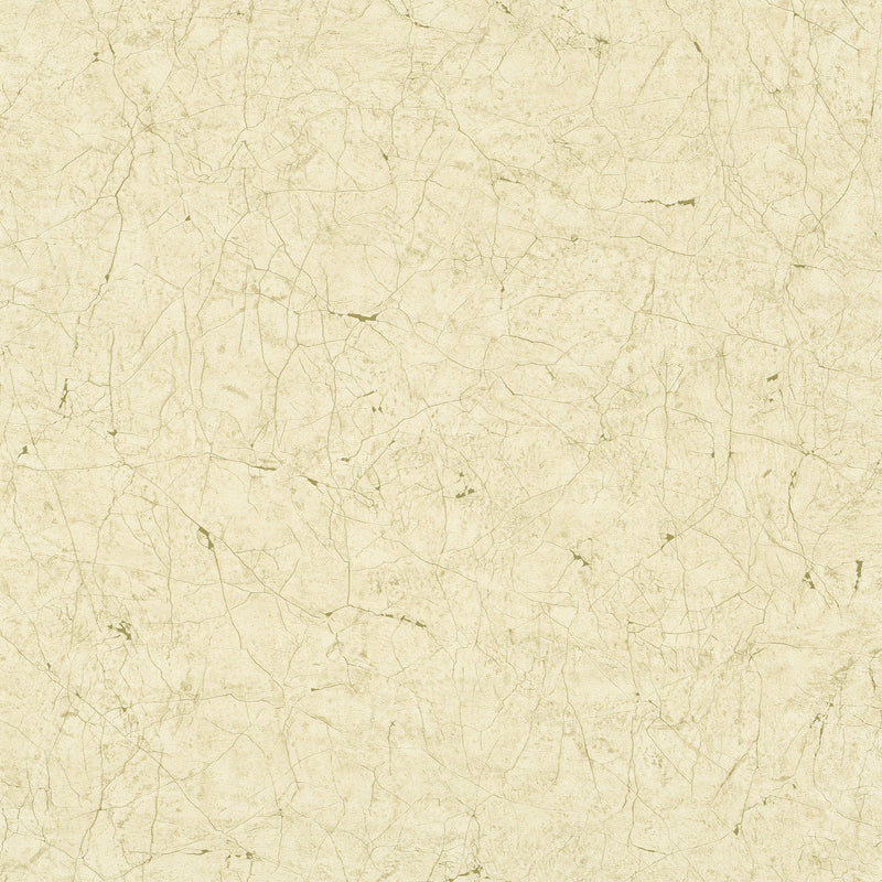 32802 Crackle Texture The New Textures Wallpaper By Galerie