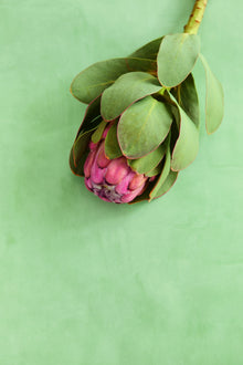 333221 Plain Texture Terracotta Wallpaper by Eijffinger
