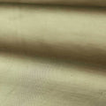 Performance Amoret Luxury Plains Sage Fabric by Zoffany
