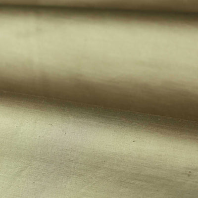 Performance Amoret Luxury Plains Sage Fabric by Zoffany