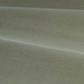 Cotton Velvet Performance Luxury Plains Mist Fabric by Zoffany