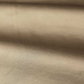 Performance Amoret Luxury Plains Fossil Fabric by Zoffany