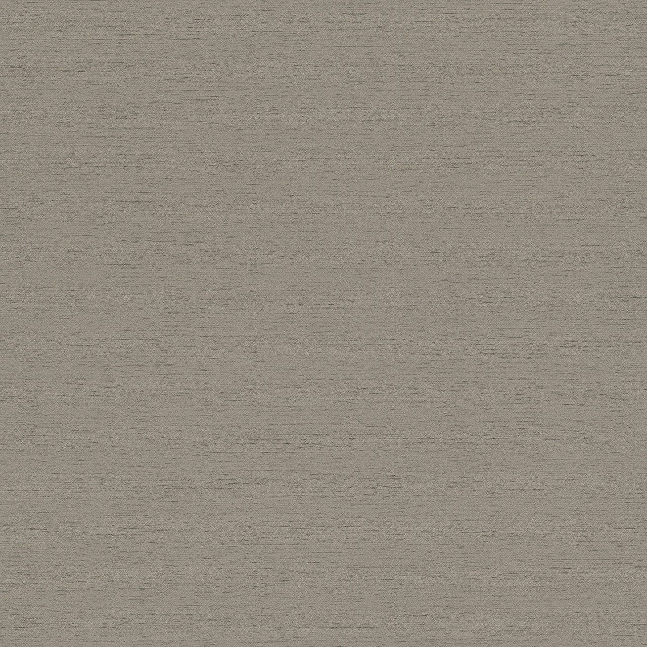 33372 The Woods and Wicker Silver Grey Wallpaper By Galerie