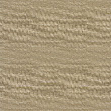 33384 The Woods and Wicker Beige Wallpaper By Galerie
