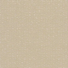 33385 The Woods and Wicker Beige Wallpaper By Galerie