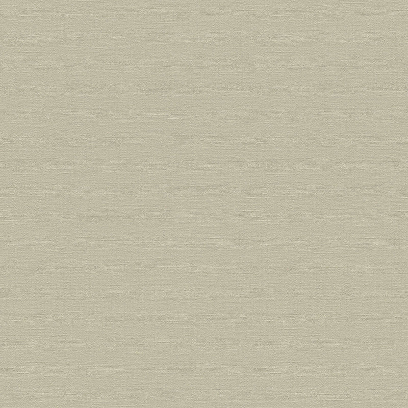 33609-3 Styleguide Colours 2024 Wallpaper by A S Creation