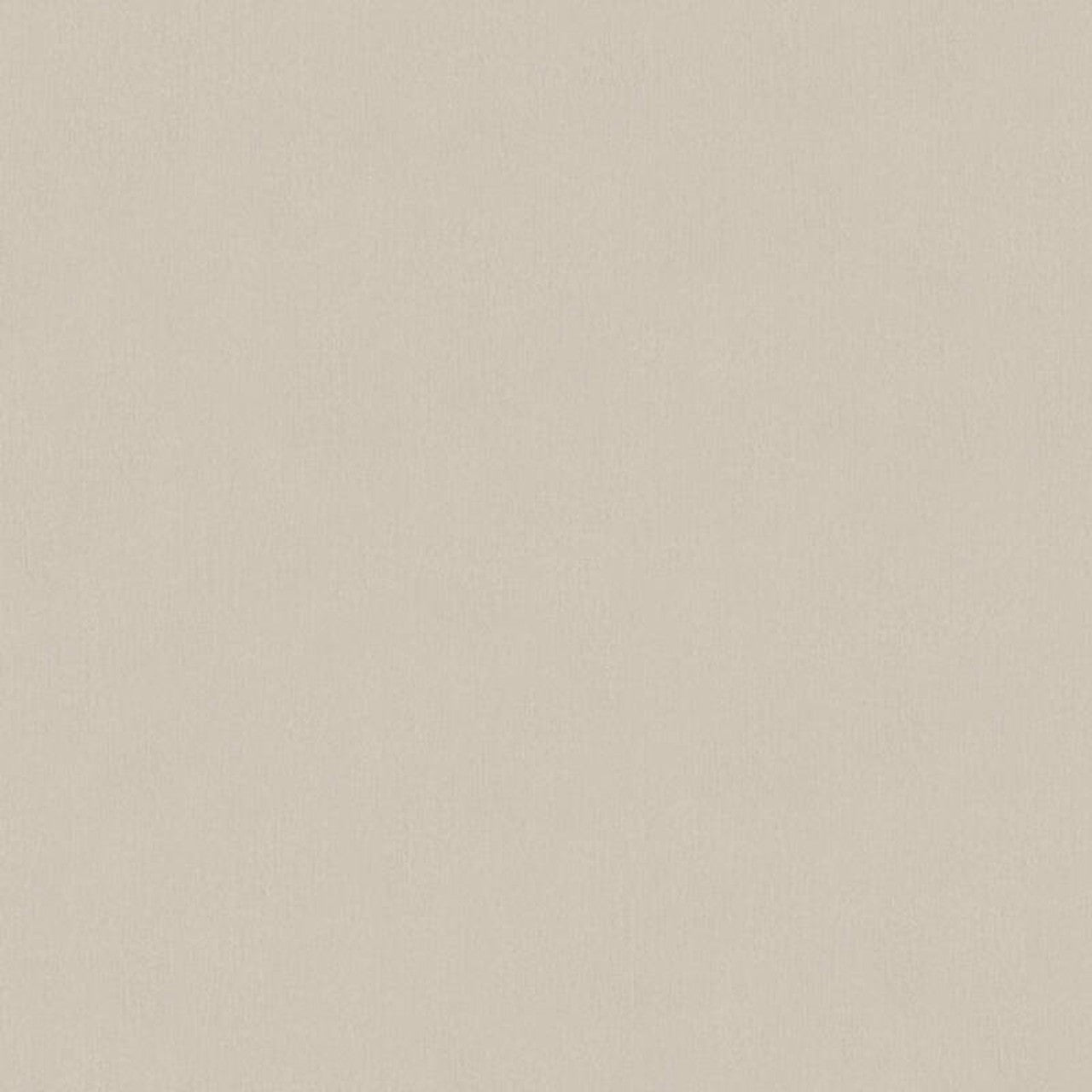 33655-2 Styleguide Colours 2024 Wallpaper by A S Creation