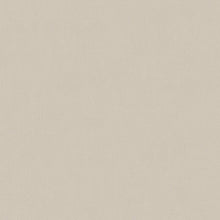 33655-2 Styleguide Colours 2024 Wallpaper by A S Creation