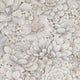 Floral Texture The New Design Book Pink and Grey Wallpaper By Galerie