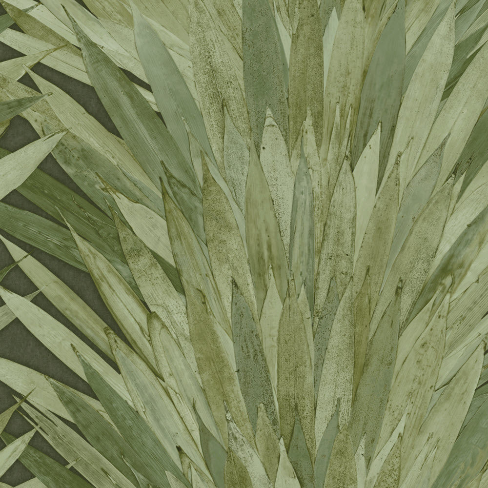 34001 Abanico Selva Wallpaper by Arte