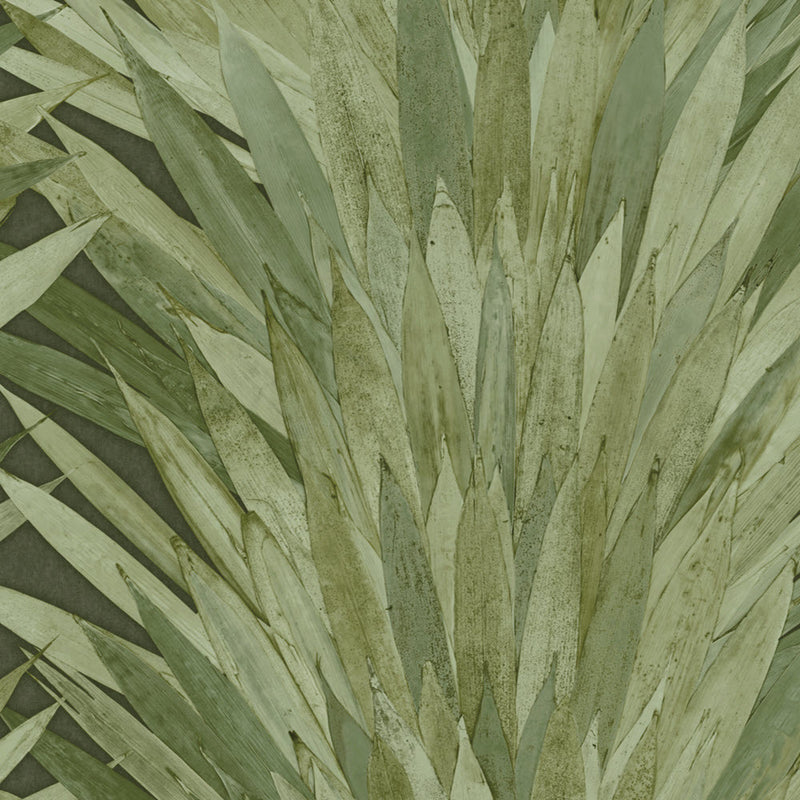 34001 Abanico Selva Wallpaper by Arte
