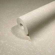 34151 Plaster Texture The New Textures Wallpaper By Galerie