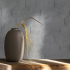34160 3D Geometric Hexagon The New Design Book Grey Wallpaper By Galerie