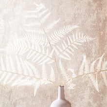 34279 Structure The New Textures Wallpaper By Galerie