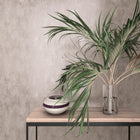34282 Plain The New Textures Wallpaper By Galerie