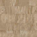 Capas Selva Wallpaper by Arte