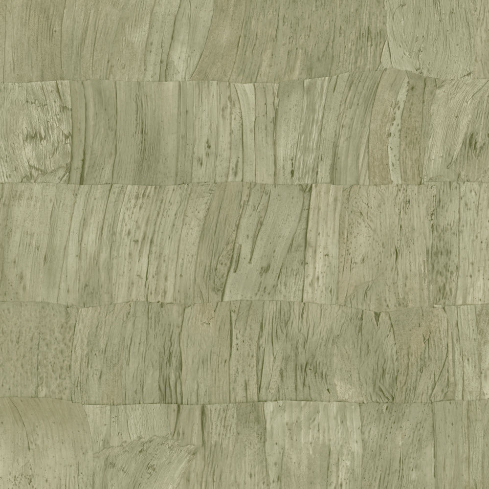 34304 Capas Selva Wallpaper by Arte