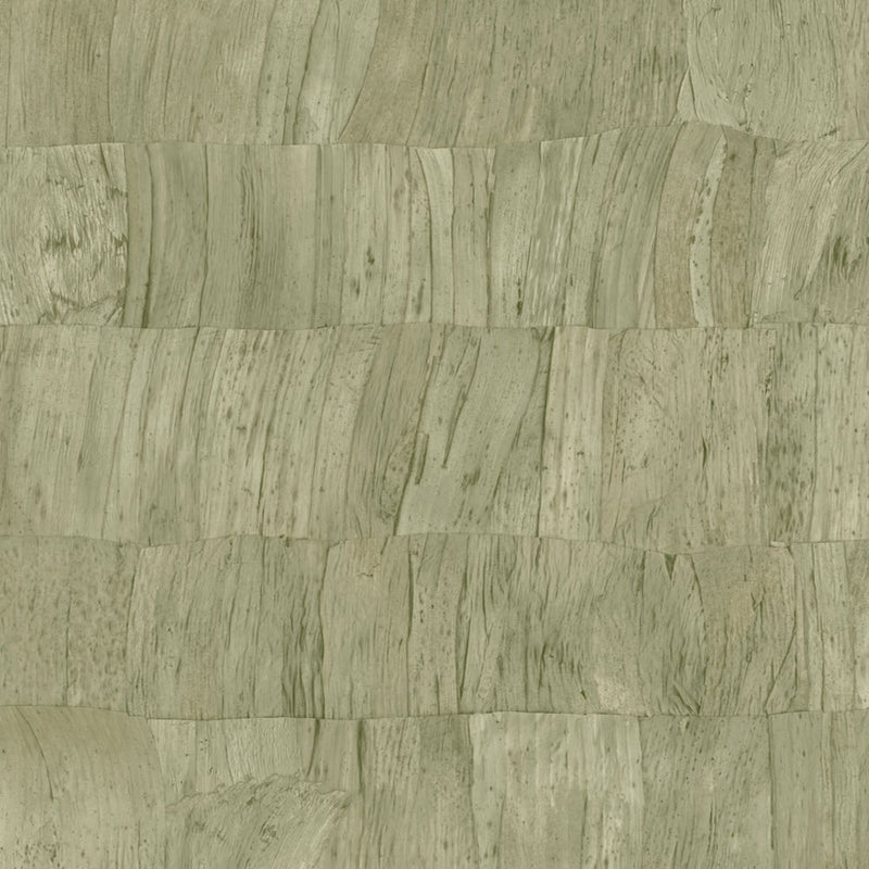 34304 Capas Selva Wallpaper by Arte